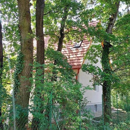 Szepiheno Villa Балатонсепезд Екстериор снимка