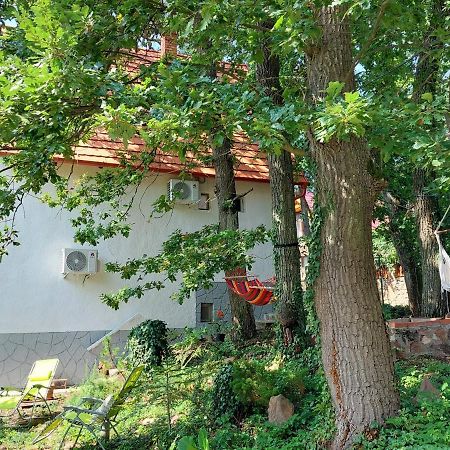 Szepiheno Villa Балатонсепезд Екстериор снимка