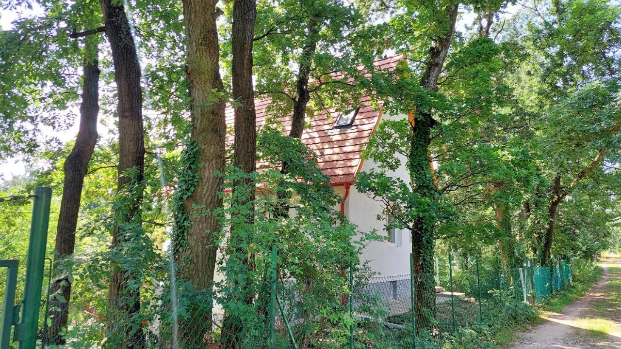 Szepiheno Villa Балатонсепезд Екстериор снимка